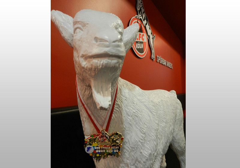 Spieltagsorden Hoffenheim   Spieltagsorden Hoffenheim