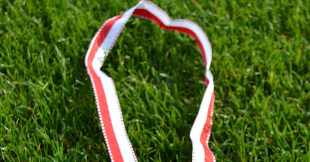 Spieltagsorden Hoffenheim   Spieltagsorden Hoffenheim