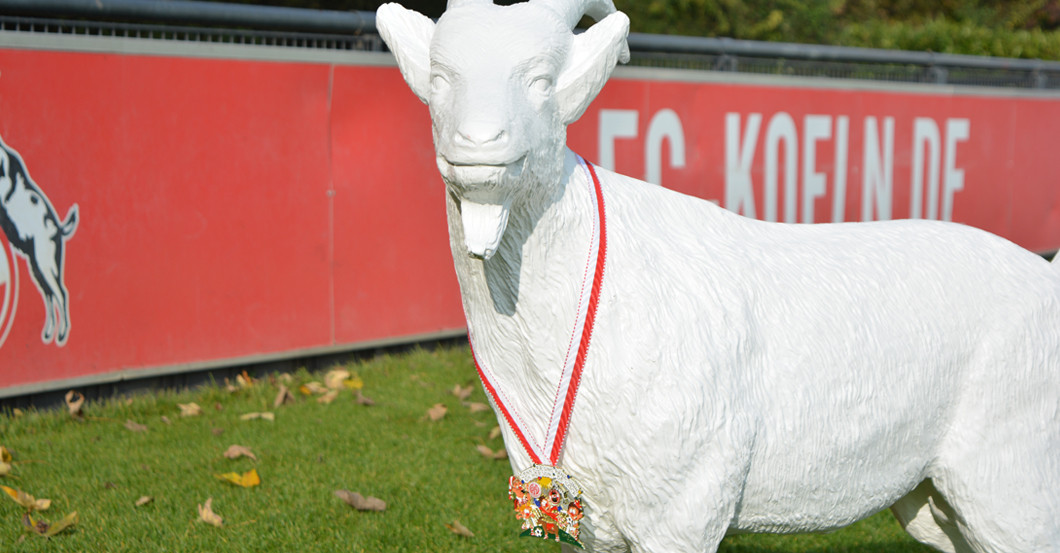 Spieltagsorden Mainz 05   Spieltagsorden Mainz 05