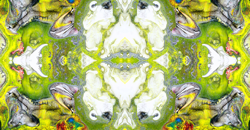 Sponk Chromatirium   Sponk Chromatirium