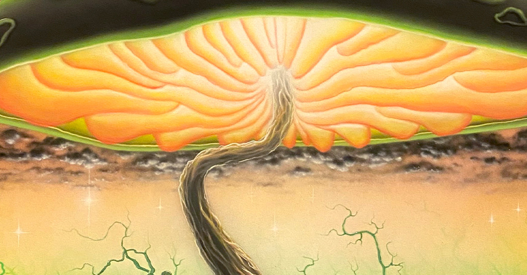  Sponk Ewiger Kreislauf 