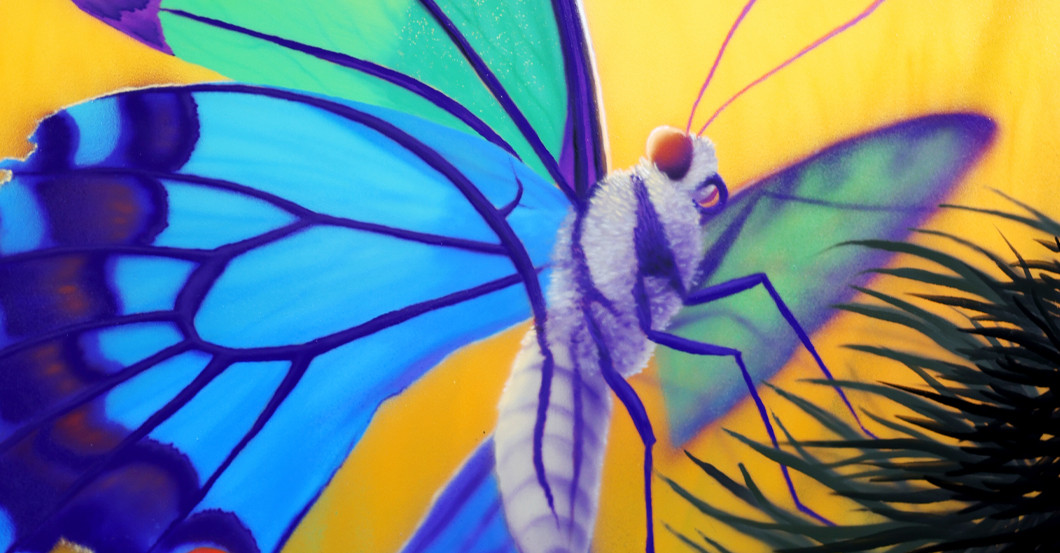 Sponk Schmetterling   Sponk Schmetterling