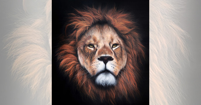 Sponk Werk Summerjam   Sponk Werk Summerjam