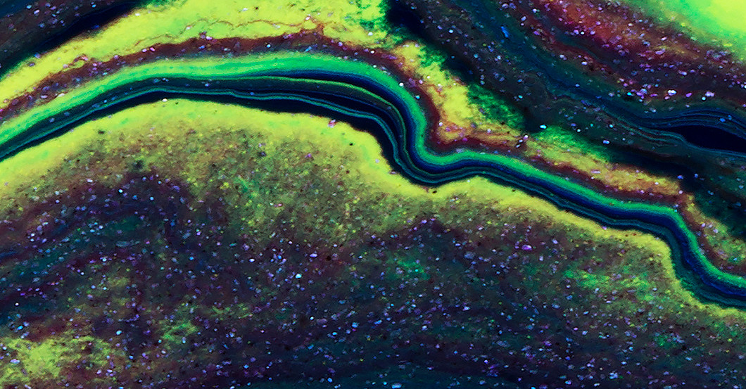 Sponk Yggdrazil   Sponk Yggdrazil