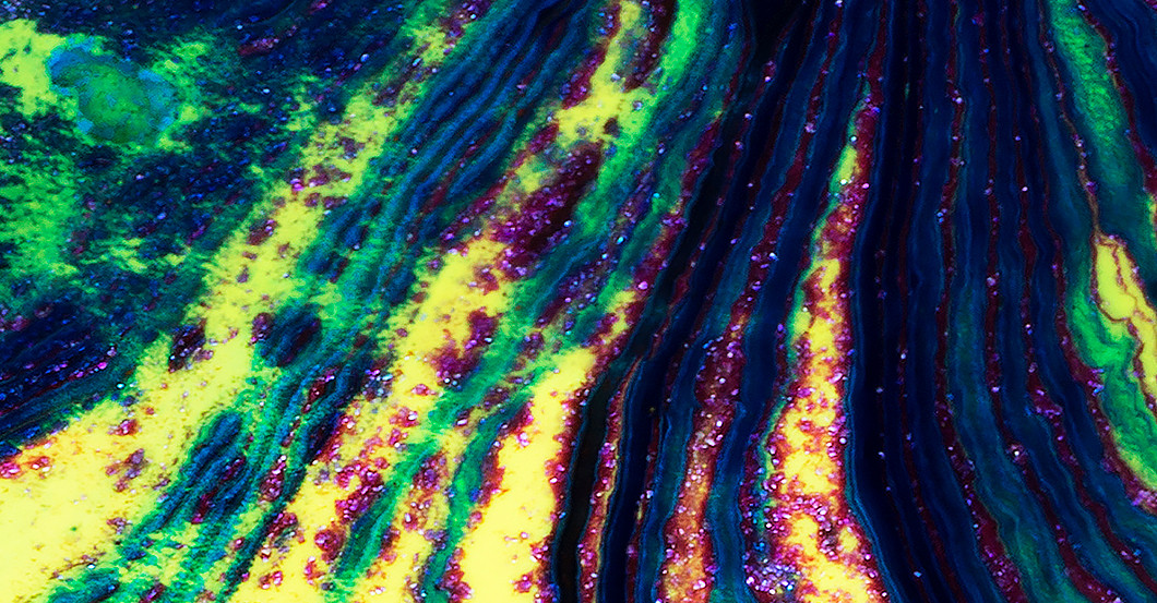 Sponk Yggdrazil   Sponk Yggdrazil