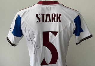  Stark Customised Trikot 
