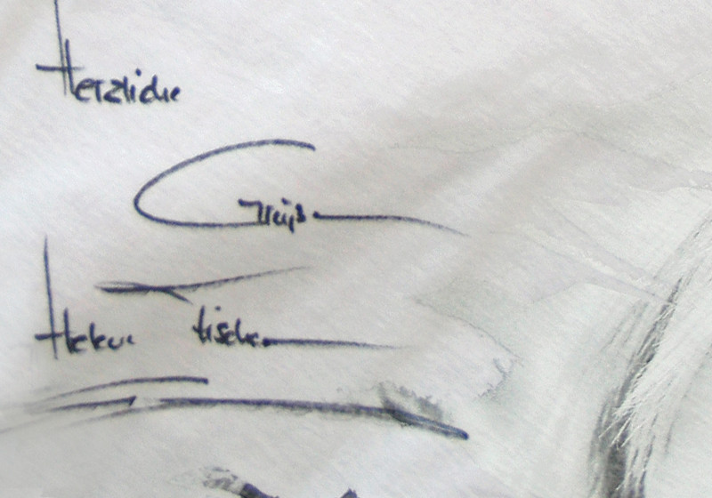 T-Shirt Helene Fischer   T-Shirt Helene Fischer