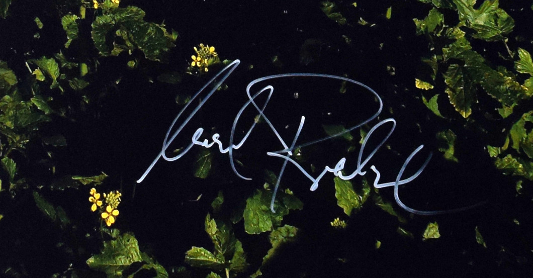  Tatort Münster Foto 