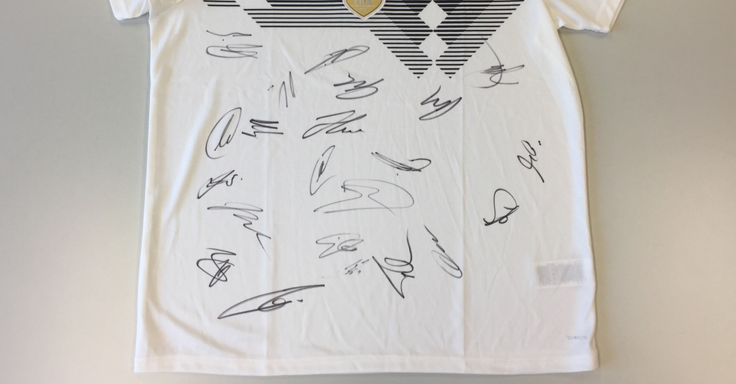 Team Trikot DFB   Team Trikot DFB