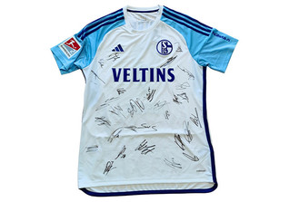  Terodde Schalke Trikot 