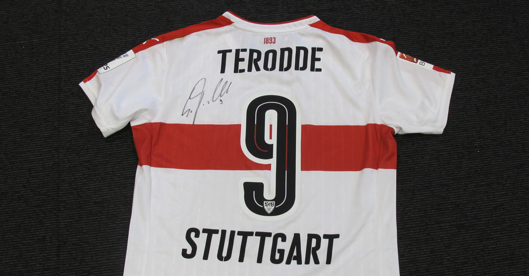  Teroddes DKMS Trikotset 