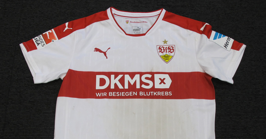  Teroddes DKMS Trikotset 