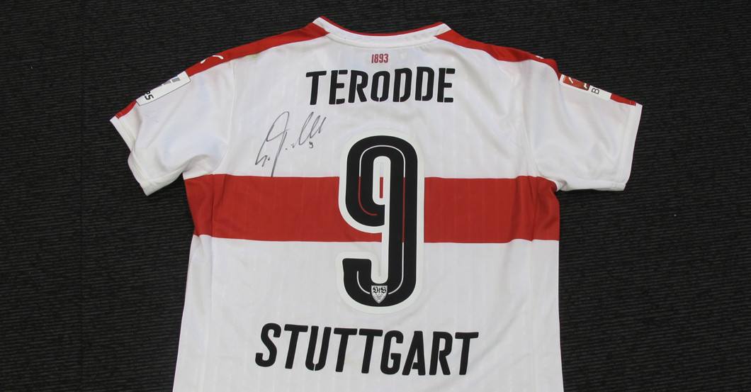  Teroddes DKMS Trikotset 