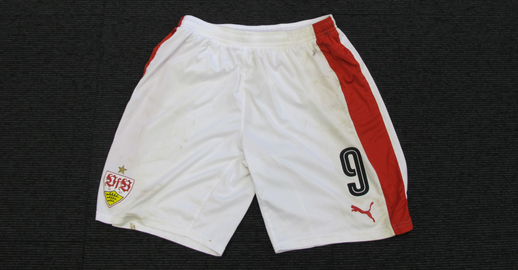  Teroddes DKMS Trikotset 