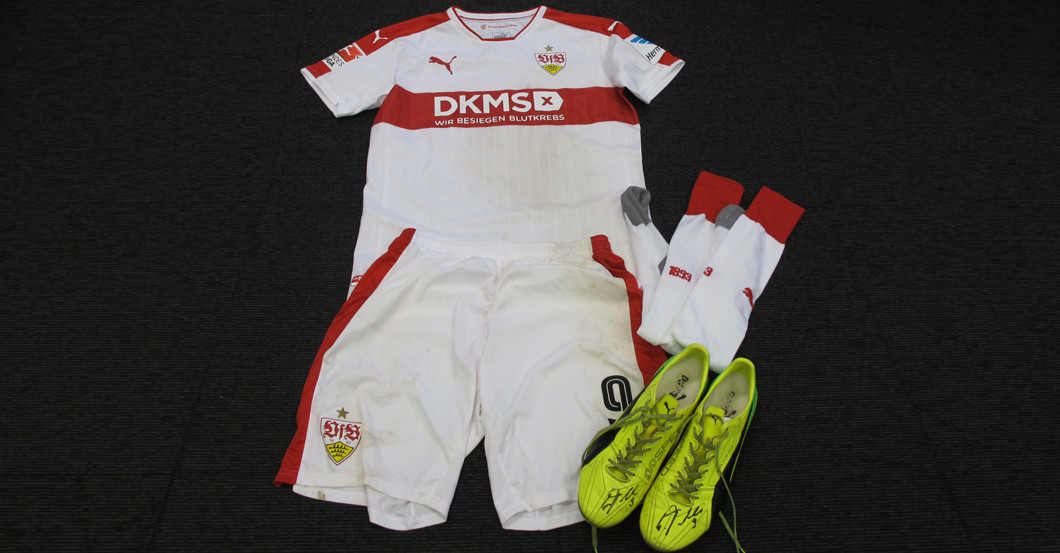  Teroddes DKMS Trikotset 