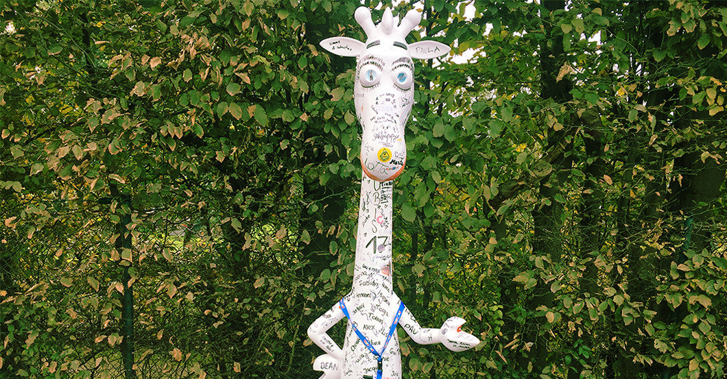 The interactive Giraffe   The interactive Giraffe