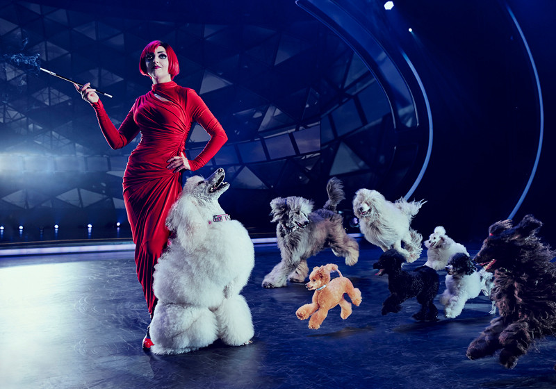 The WYLD exklusiv   The WYLD exklusiv