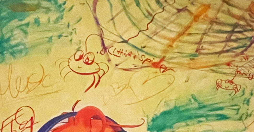 Tier Bild Amft   Tier Bild Amft