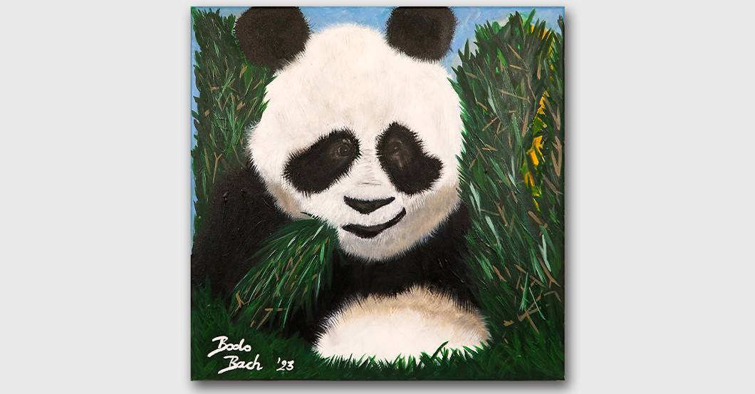 Tier Bild Bach   Tier Bild Bach