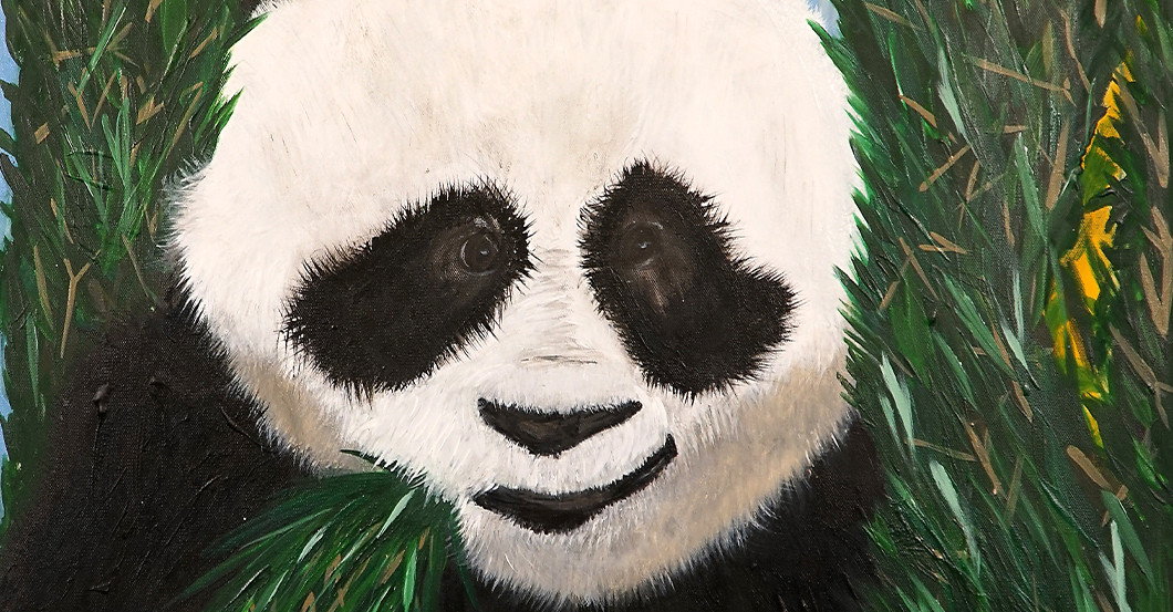 Tier Bild Bach   Tier Bild Bach