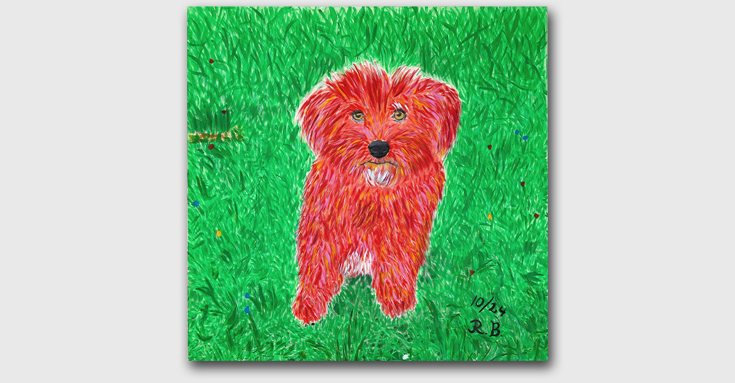 Tier Bild Bokel   Tier Bild Bokel