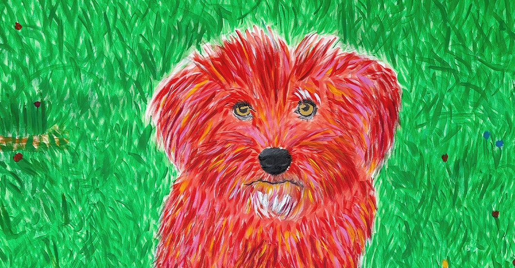 Tier Bild Bokel   Tier Bild Bokel