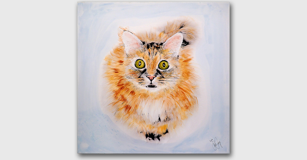 Tier Bild Borg   Tier Bild Borg