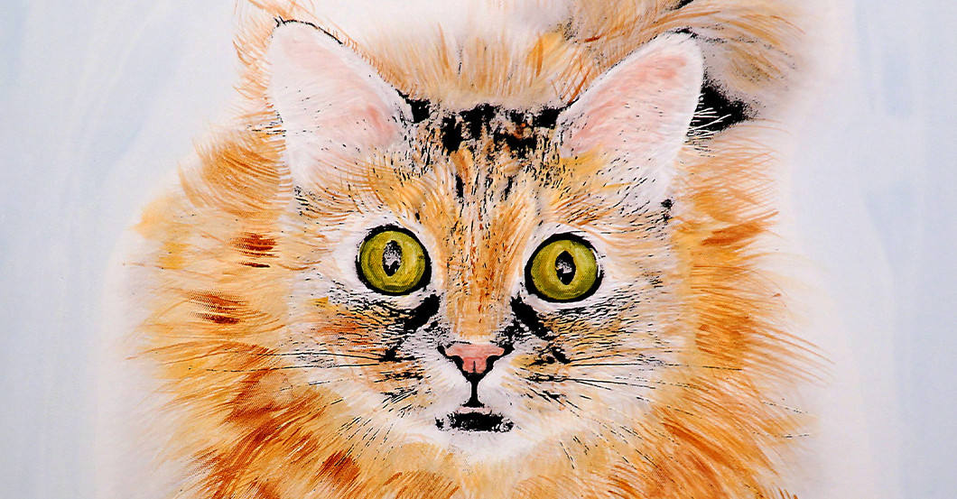 Tier Bild Borg   Tier Bild Borg