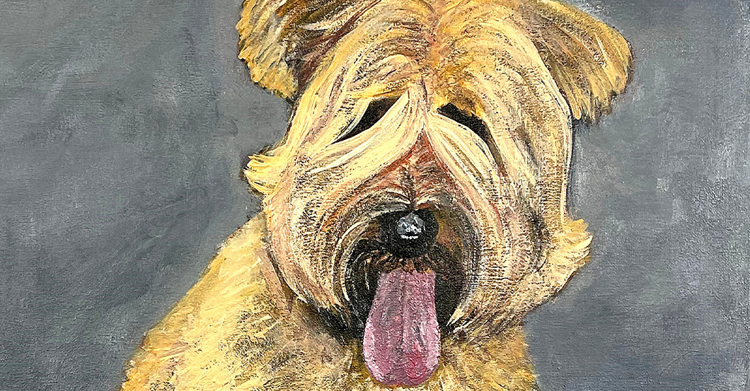 Tier Bild de Jong   Tier Bild de Jong