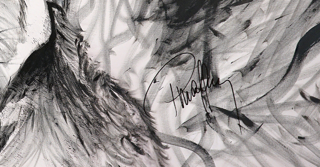 Tier Bild Maffay   Tier Bild Maffay