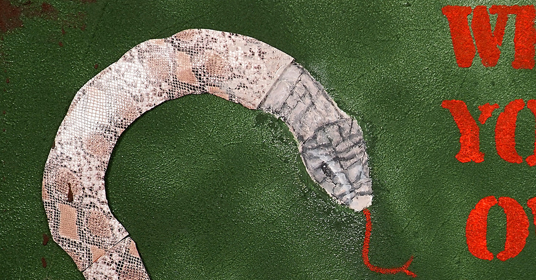 Tier Bild Noll   Tier Bild Noll