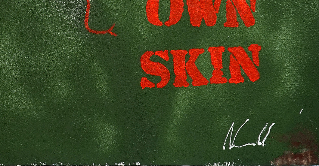 Tier Bild Noll   Tier Bild Noll