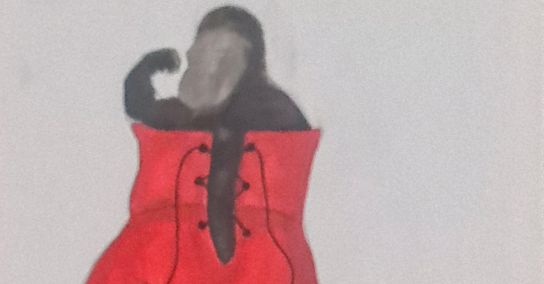 Tier Bild Schulz   Tier Bild Schulz