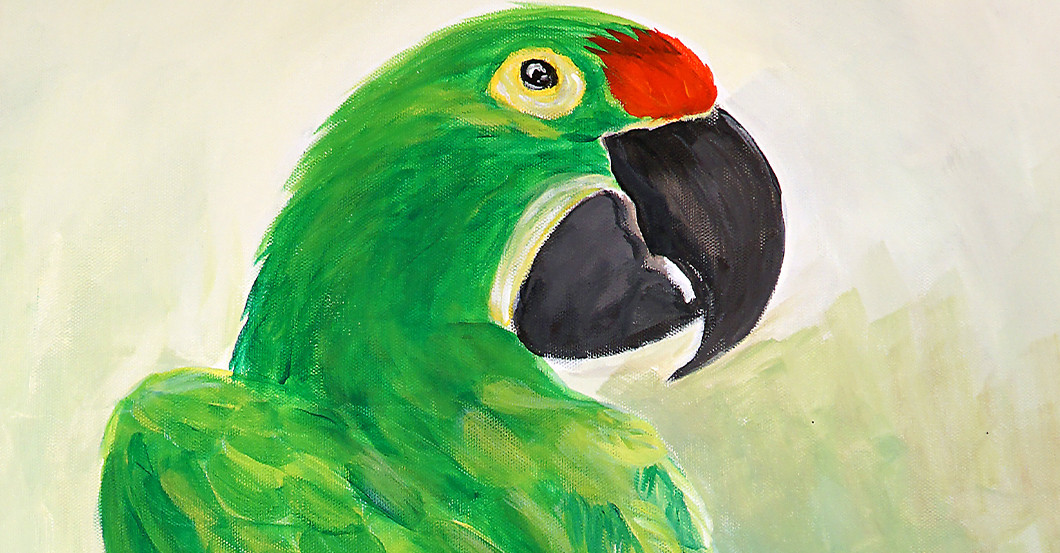 Tier Bild Wegener   Tier Bild Wegener