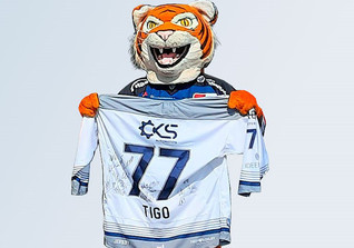  Tigers Trikot Tigo 