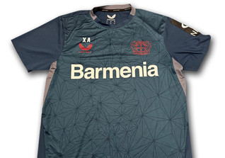  TL Trainingsshirt Alonso 