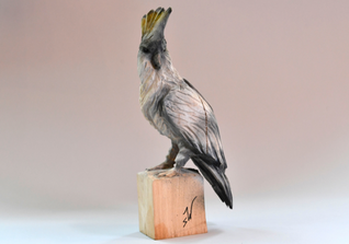  TM Kakadu Sven Wastian 