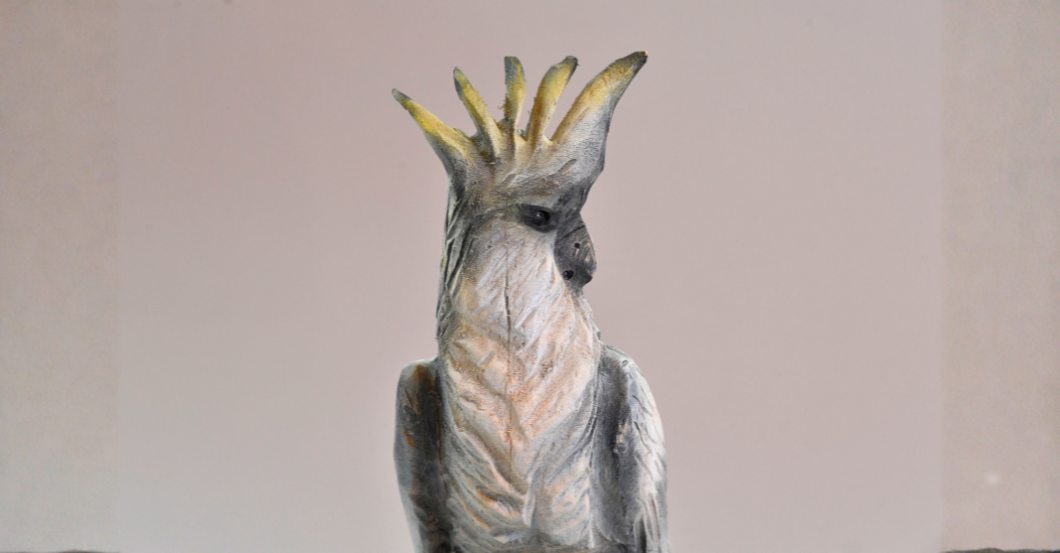  TM Kakadu Sven Wastian 