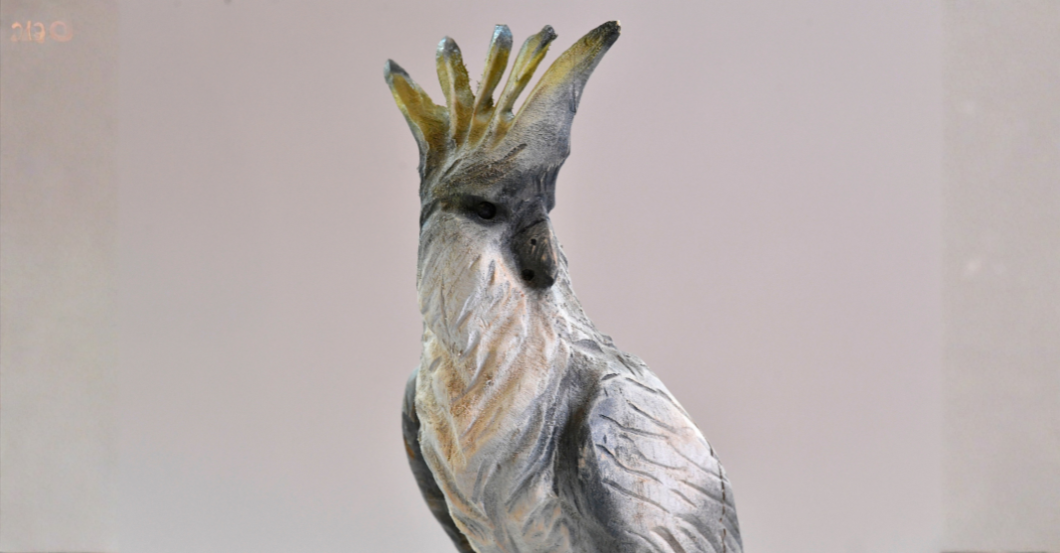  TM Kakadu Sven Wastian 