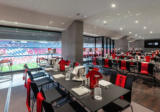 TM VIP Bayern Hoffenheim   TM VIP Bayern Hoffenheim