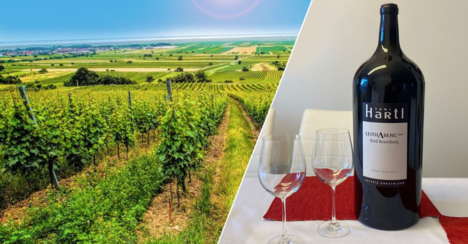 Toni Hartl Wein   Toni Hartl Wein