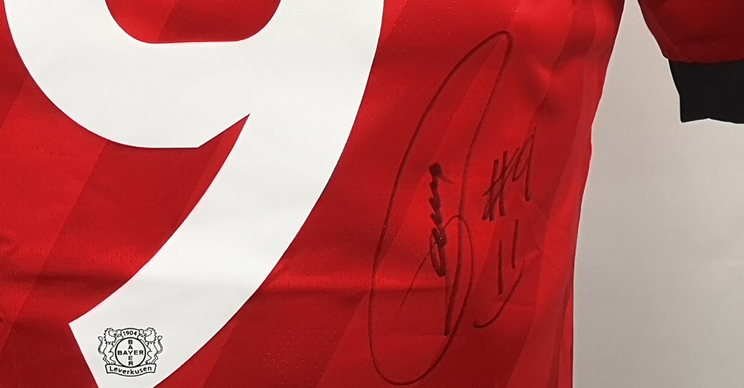  Topspiel Bayer Bailey 