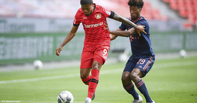 Topspiel Bayer Bailey   Topspiel Bayer Bailey