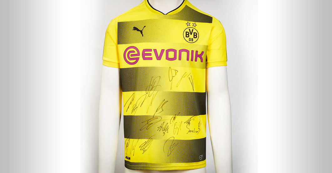  Jersey BVB team signed 