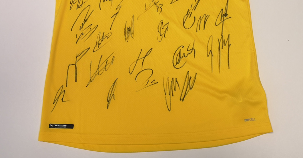 Trikot CL BVB  L   Trikot CL BVB  L