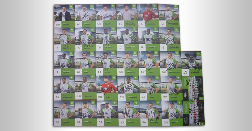  Trikot Wolfsburg neu 