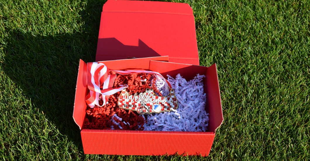 TSG Spieltagsorden   TSG Spieltagsorden