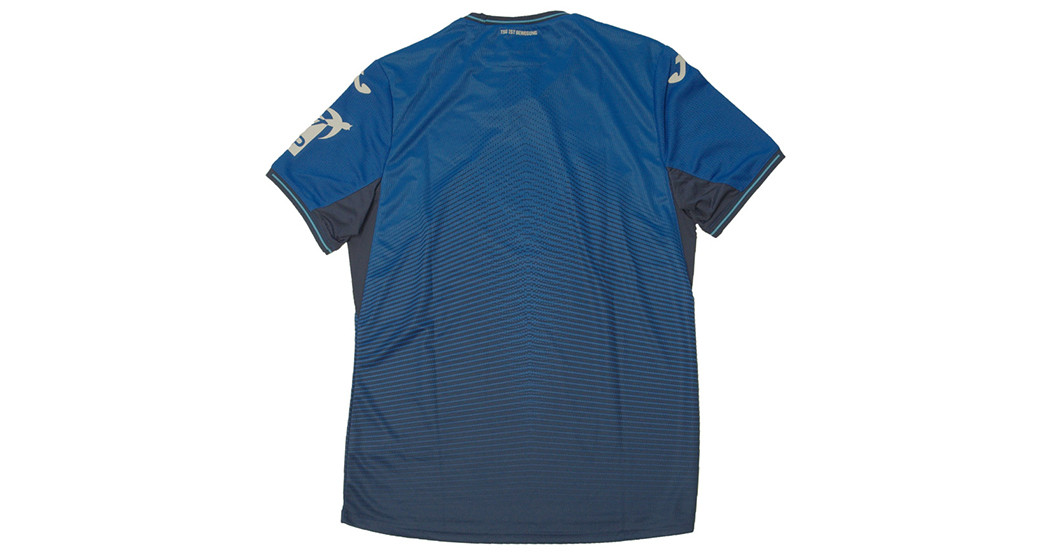  TSG Trikot teamsigniert 