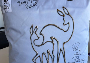  TTB Kissen Welte Bremen  