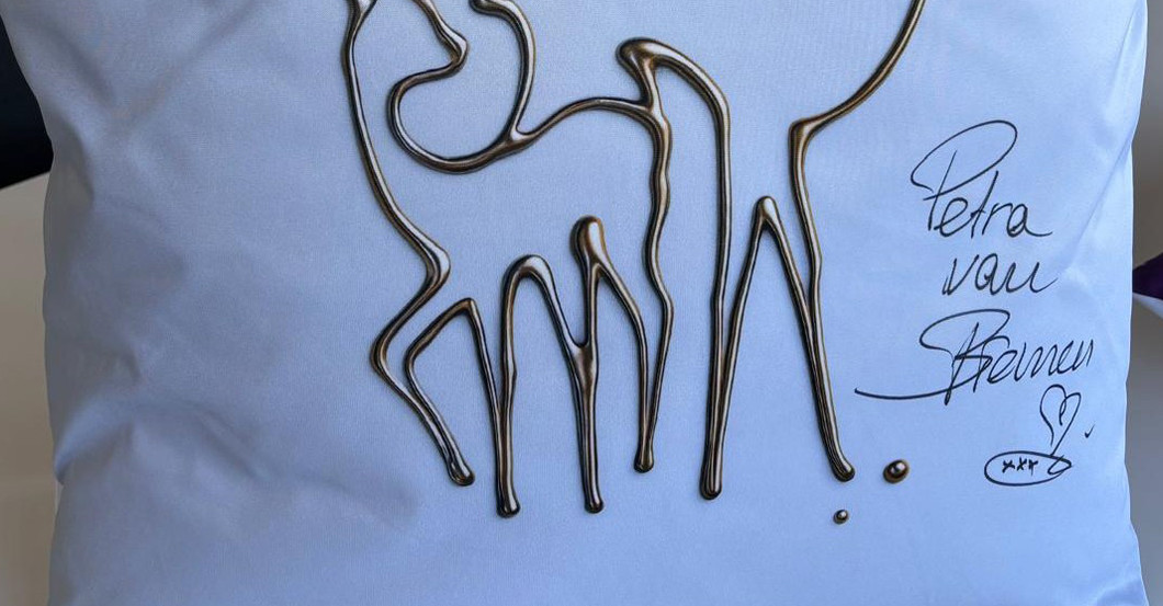  TTB Kissen Welte Bremen  